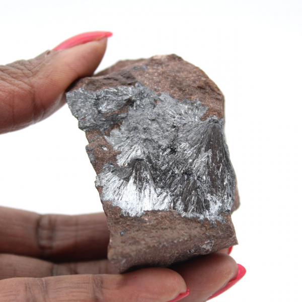 Small Pyrolusite Crystallized on Authentic Matrix