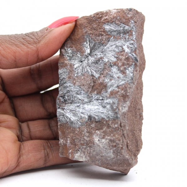 Pyrolusite from Morocco, Mineral Crystals for Collection