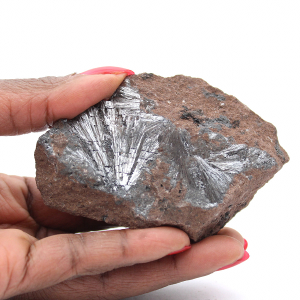 Pyrolusite crystals, Mineral Rock Morocco