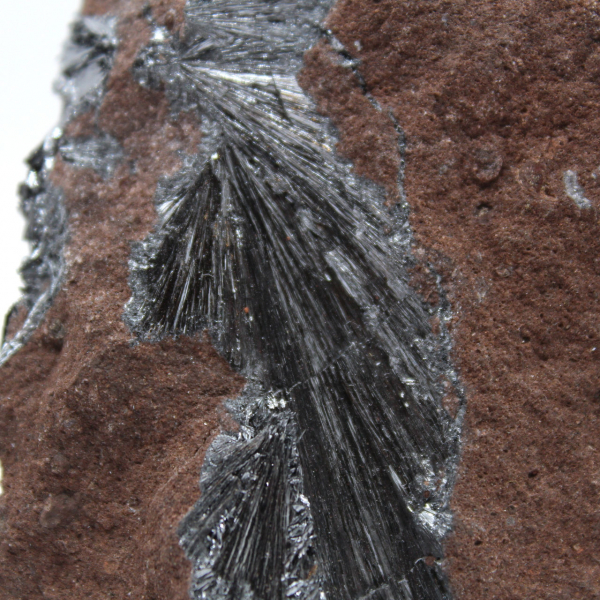 Authentic Pyrolusite Crystals on Matrix