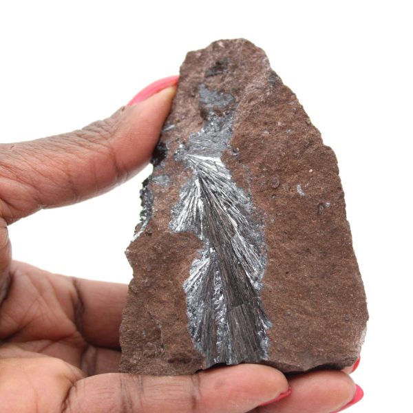 Authentic Pyrolusite Crystals on Matrix