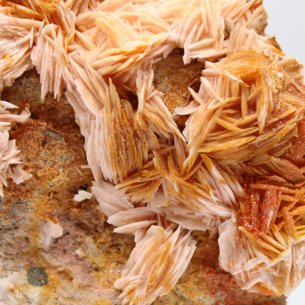 Specimen of Moroccan orange barite in natural crystals