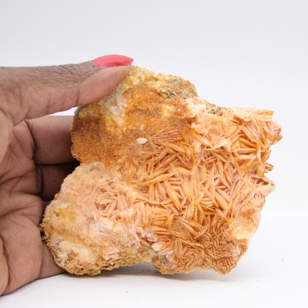Collectible Moroccan orange barite crystals