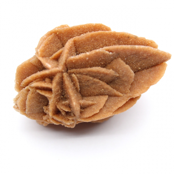 Moroccan Desert Rose Formation: Collector's Gypsum