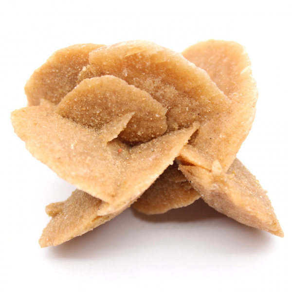 Small Desert Rose of Morocco: natural geological fragment