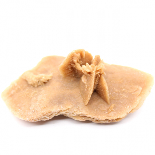 Small Desert Rose of Morocco: natural geological fragment