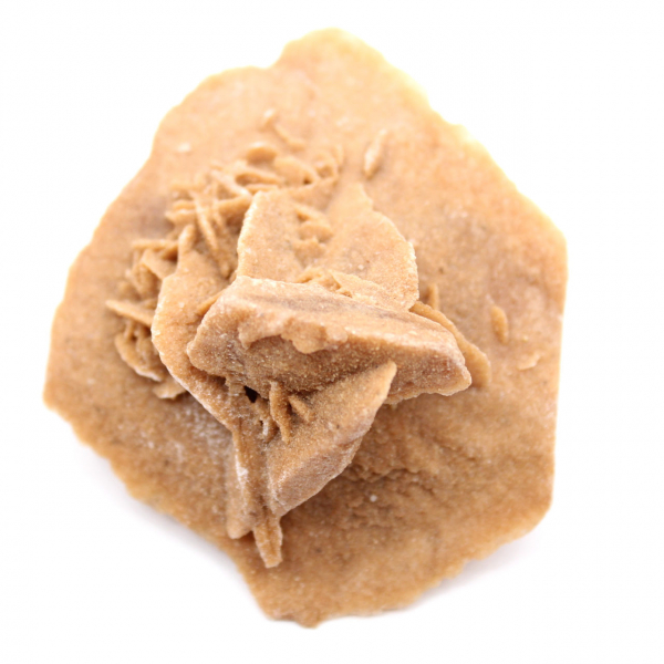 Small Desert Rose of Morocco: natural geological fragment