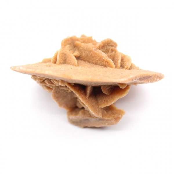 Gypsum rosette from Morocco: natural crystal from the Sahara