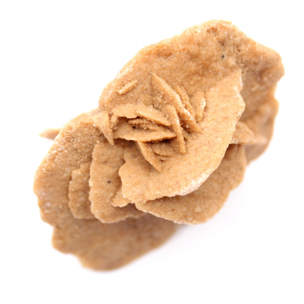 Moroccan desert rose: a crystalline bouquet of gypsum