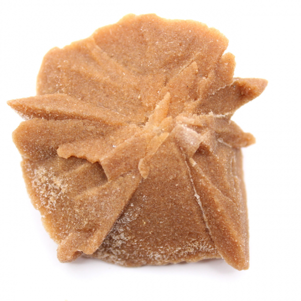 Small fragment of Desert Rose: a mineral from Morocco