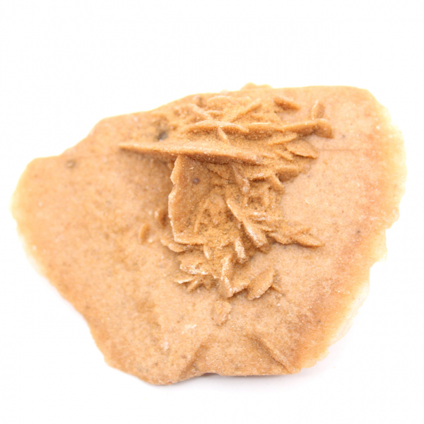 Light Moroccan Desert Rose: fine crystallization