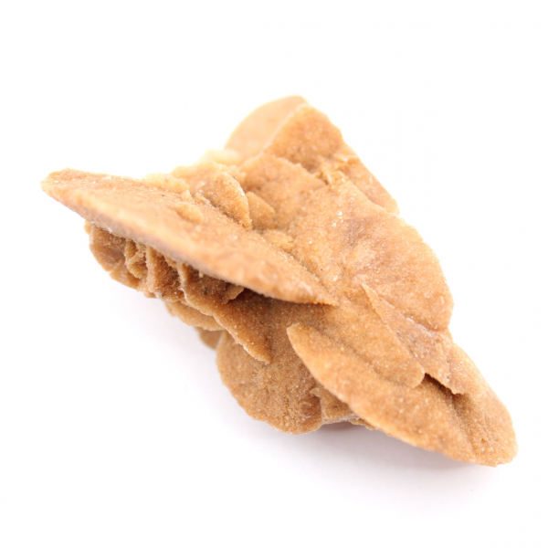 Small Moroccan Desert Rose: the radiance of natural gypsum