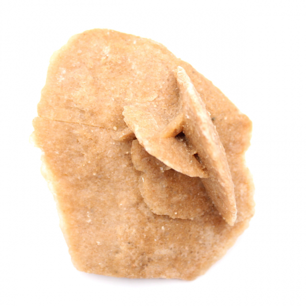 Mineral rosette of Morocco: gypsum crystallization