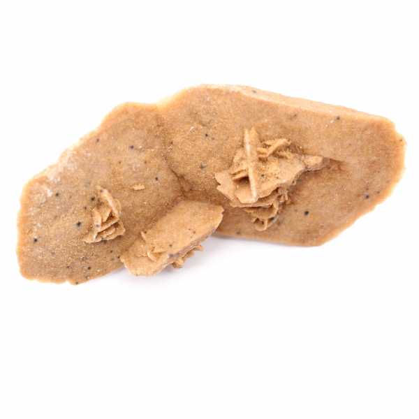 Elongated desert rose of Morocco: a geological specimen