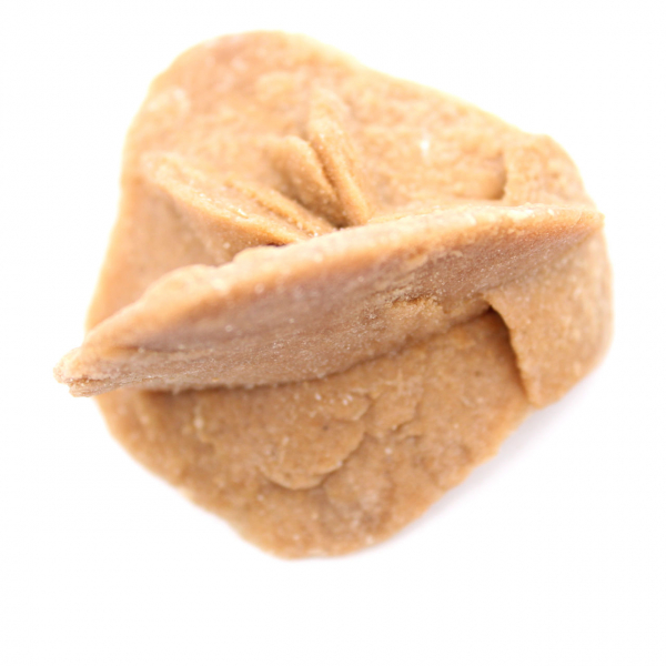 Desert rose of Morocco: the delicate gypsum crystals