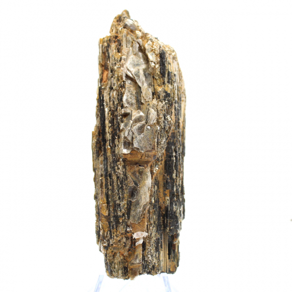 Small Specimen of Black Tourmaline - Madagascar