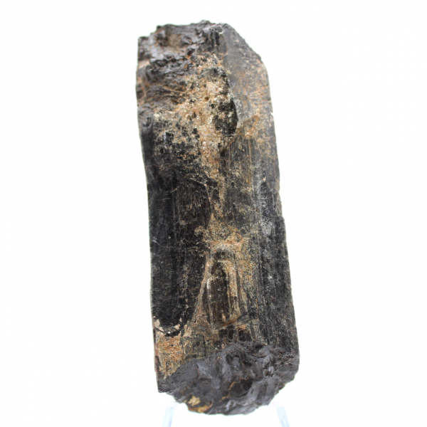 Black Tourmaline from Madagascar - Small Collector's Crystal