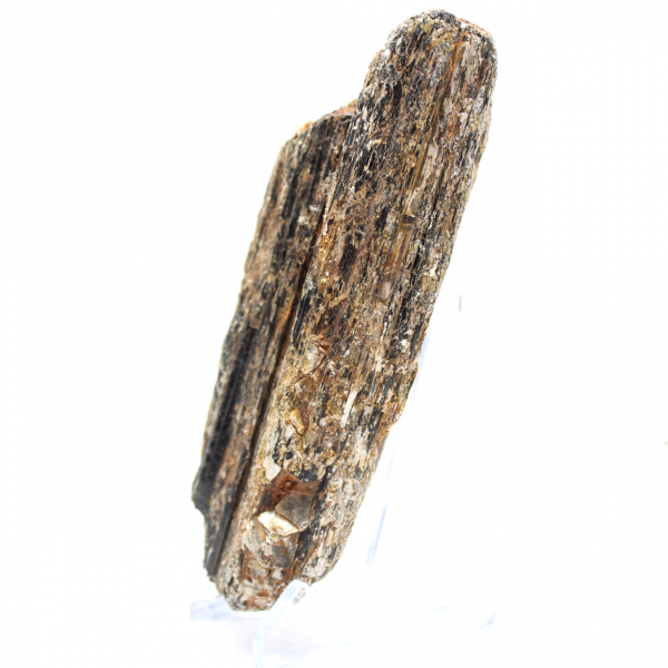 Black Tourmaline from Madagascar - Study Specimen