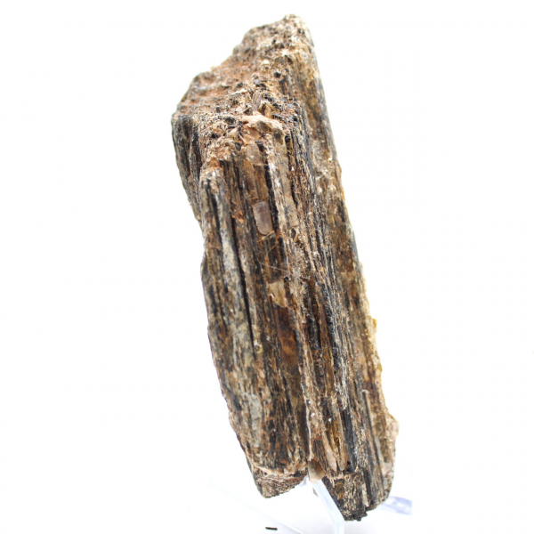 Black Tourmaline from Madagascar - Study Specimen