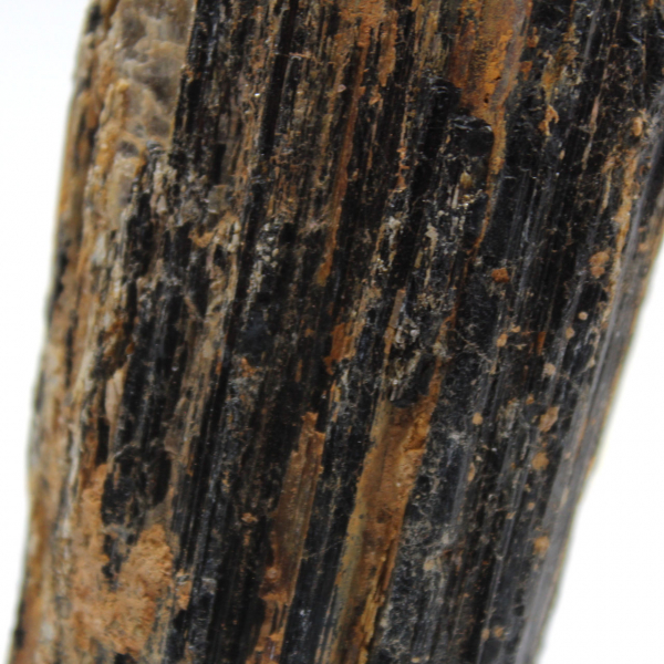 Raw Black Tourmaline from Madagascar - Tabletop Rock
