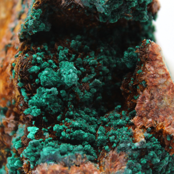 Azurite and Malachite from Morocco
