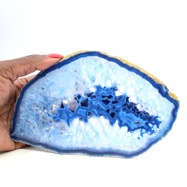 Blue agate in elongated slices for display