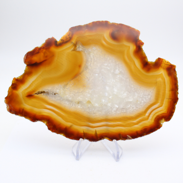 Polished Brazilian Agate Plaque