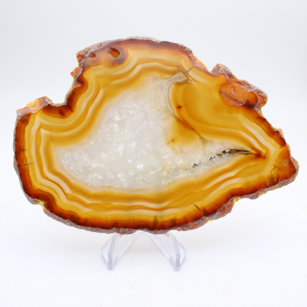 Polished Brazilian Agate Plaque
