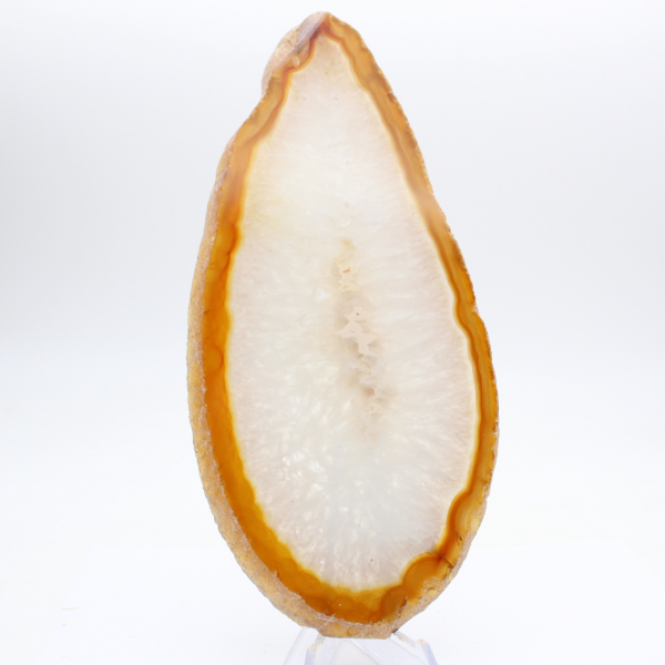 Specimen of polished sedimentary agate