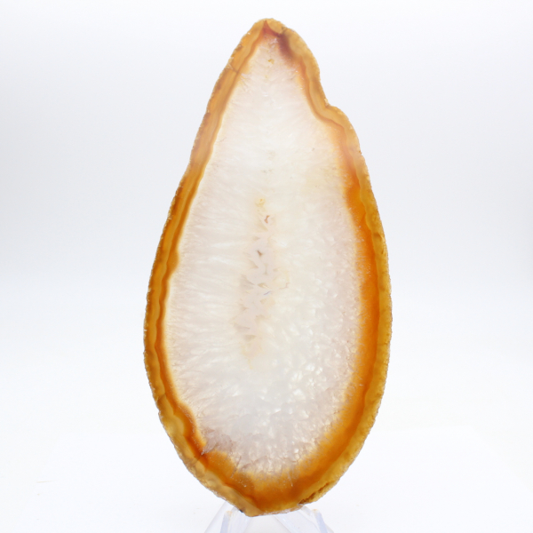 Specimen of polished sedimentary agate