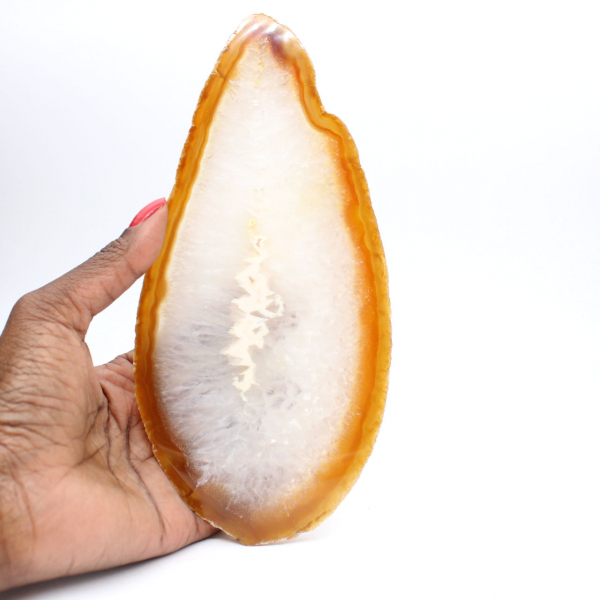 Specimen of polished sedimentary agate