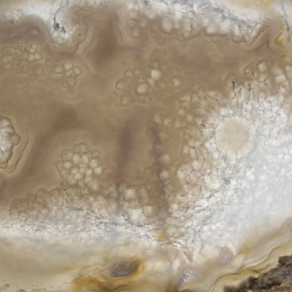 Slice of Brazilian agate geode