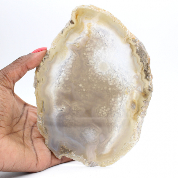 Slice of Brazilian agate geode