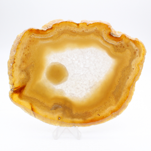 Brazilian Agate: Luxury Slice