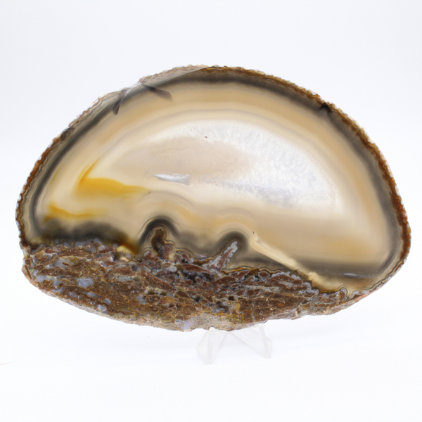 Collectible item: Polished agate