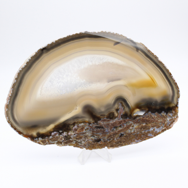 Collectible item: Polished agate