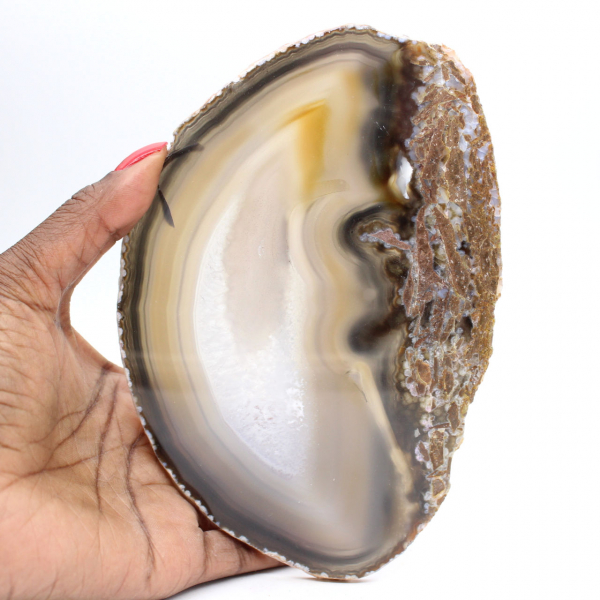 Collectible item: Polished agate