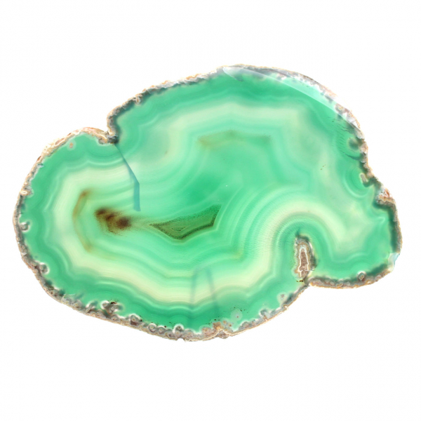 Brazilian agate in green section – 210g collection