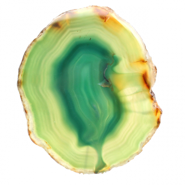 Sliced green agate – Brazilian collector's specimen 255 g