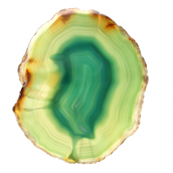 Sliced green agate – Brazilian collector's specimen 255 g