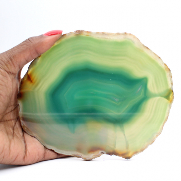 Sliced green agate – Brazilian collector's specimen 255 g