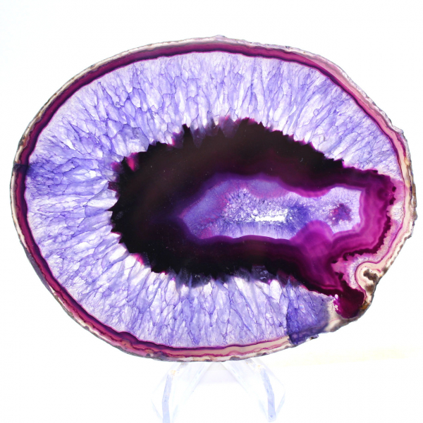 Brazilian Mineralogy: Slice of Violet-Tinted Agate