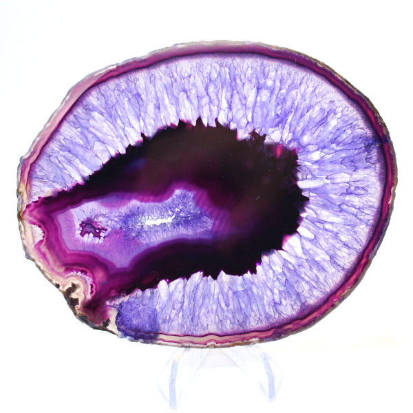 Brazilian Mineralogy: Slice of Violet-Tinted Agate