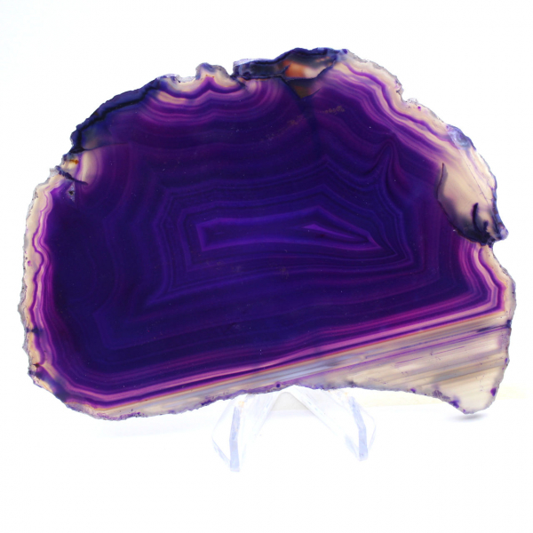 Slice of Purple Agate: Collector's Stone from Brazil