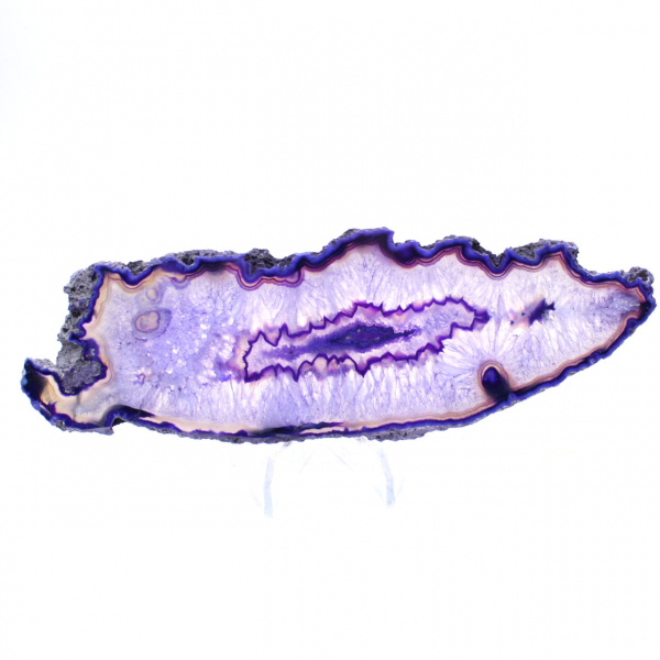 Sliced specimen of Brazilian Violet Elongated Agate