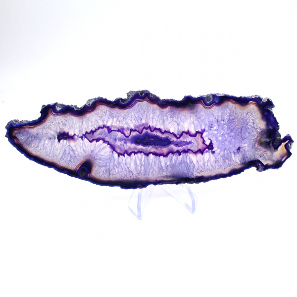 Sliced specimen of Brazilian Violet Elongated Agate