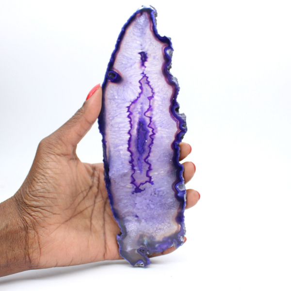 Sliced specimen of Brazilian Violet Elongated Agate