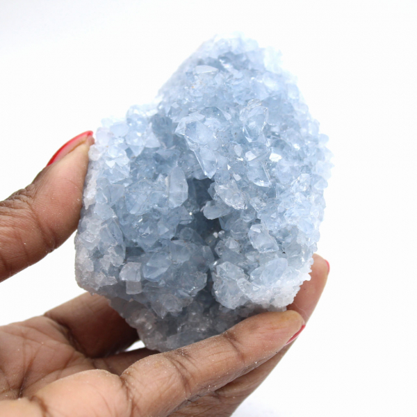 Small Celestine Geode: Collector's Mineral