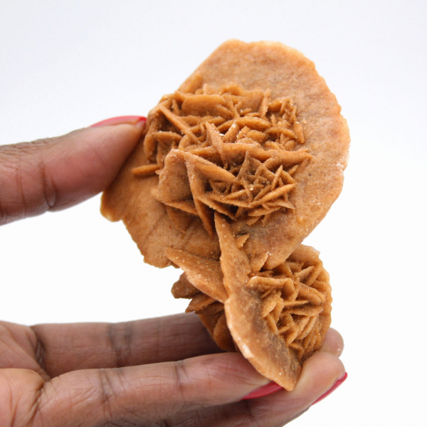 Desert rose of Morocco: a specimen of natural crystallization