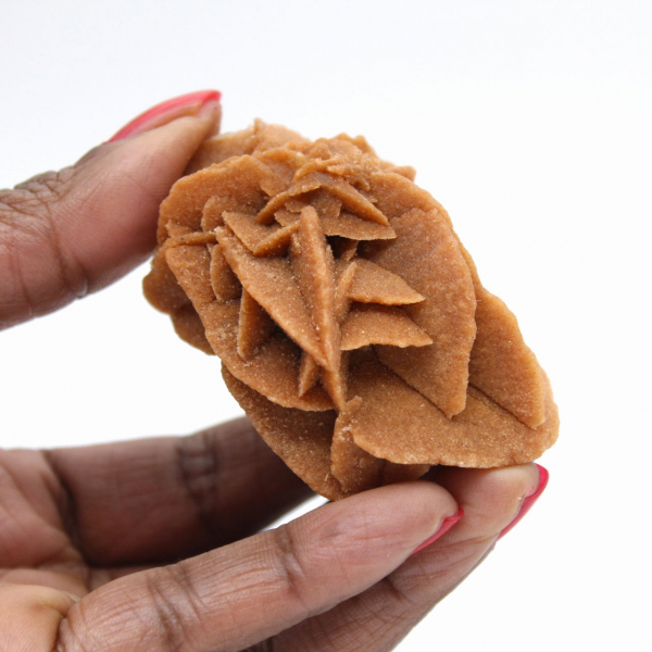 Moroccan Desert Rose Formation: Collector's Gypsum